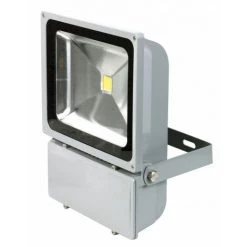 RIBIMEX Projecteur à LED 100W C.O.B