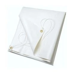 RIBIMEX Bâche Blanche PVC 3x5 M 650 G/m2