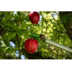 RIBIMEX Elagueur Cueille-fruit, Long. 1 M, Tube Alumibium 5 RIBIMEX Elagueur Cueille-fruit, Long. 1 M, Tube Alumibium -RIBIMEX Soldes 51640168 2