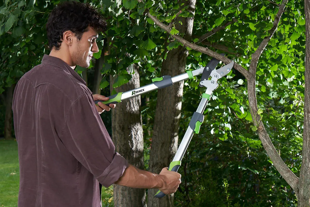 RIBIMEX Soldes -RIBIMEX Soldes ribimex fond